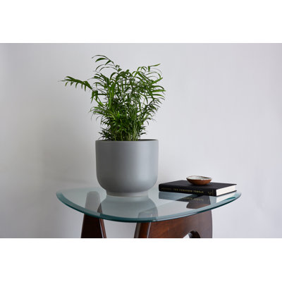 Pot de fleurs en céramique