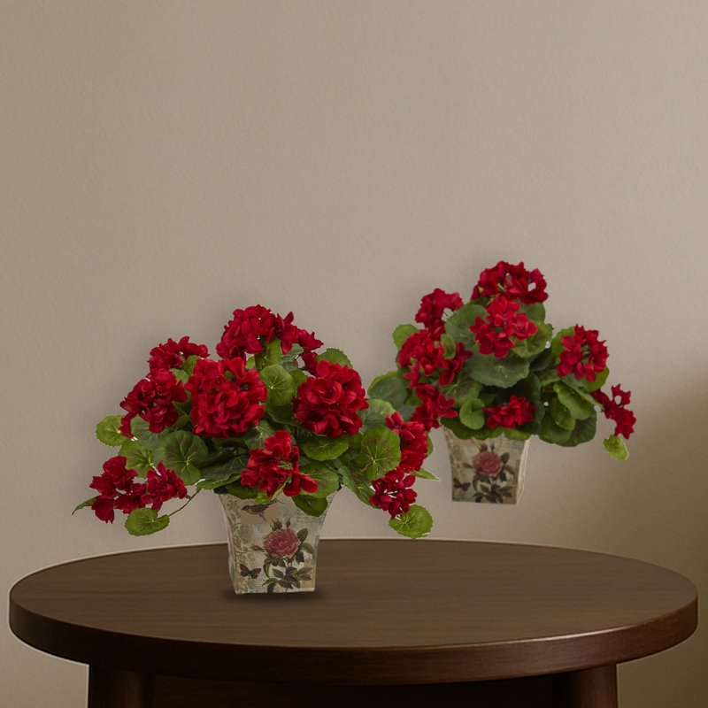 Géranium à fleurs avec pot de fleurs