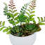Plante grasse artificielle en pot 11,5 po