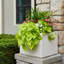 Milan Polymer Planter Box-1936952350