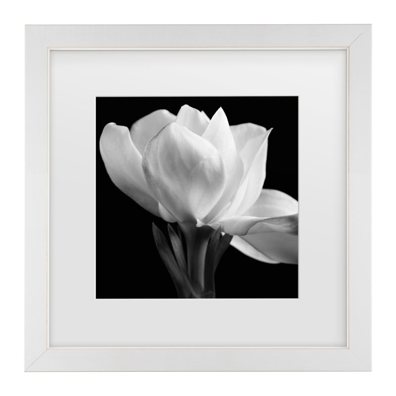 «Gardenia» par Michael Harrison, Blanc, H 13 po x l 13 po x P 0,75 po