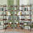 6-Tier with Open Shelves, Modern Metal Frame Bookcase for Storage and Display