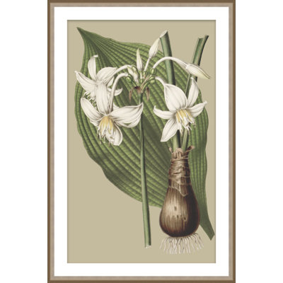 Botanical Jungle 2 Print