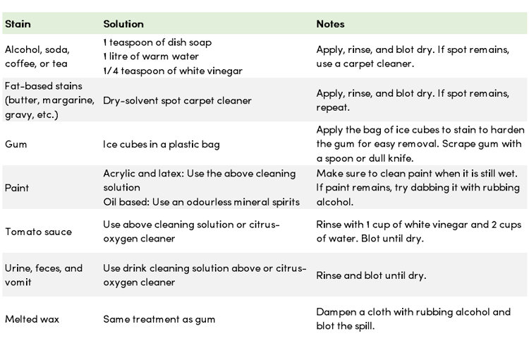 spot removal guide for rugs