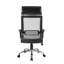 Ellison Mesh Office Chair with Headrest