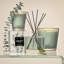 Wild Mint & Eucalyptus Votive Candle-1828798561