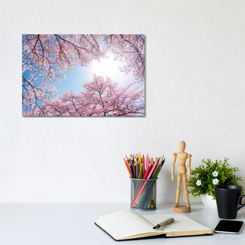 Cherry Blossom In Spring by Jan Becke - Wrapped Canvas Print, 20.32 cm H x 30.48 cm W