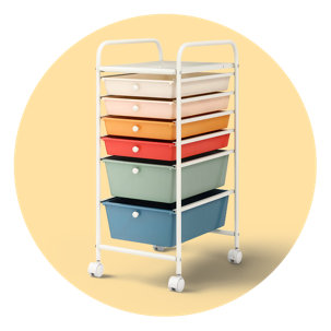 Organization