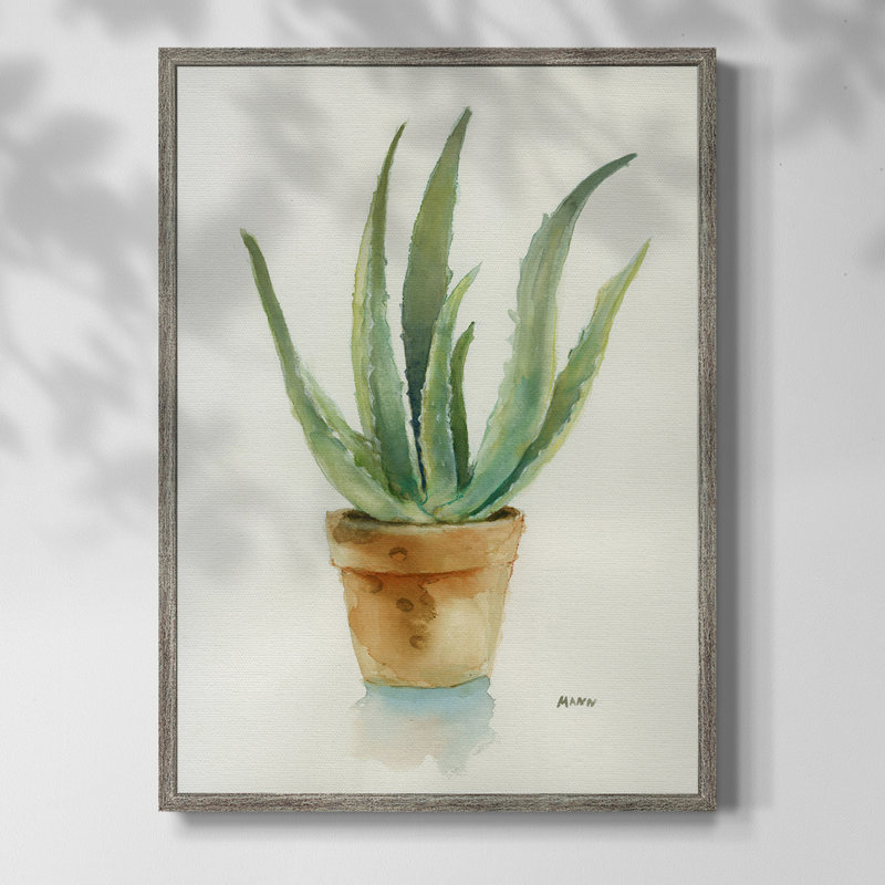 Succulent IV Framed Print - Solid Wood, 15" H x 12" W