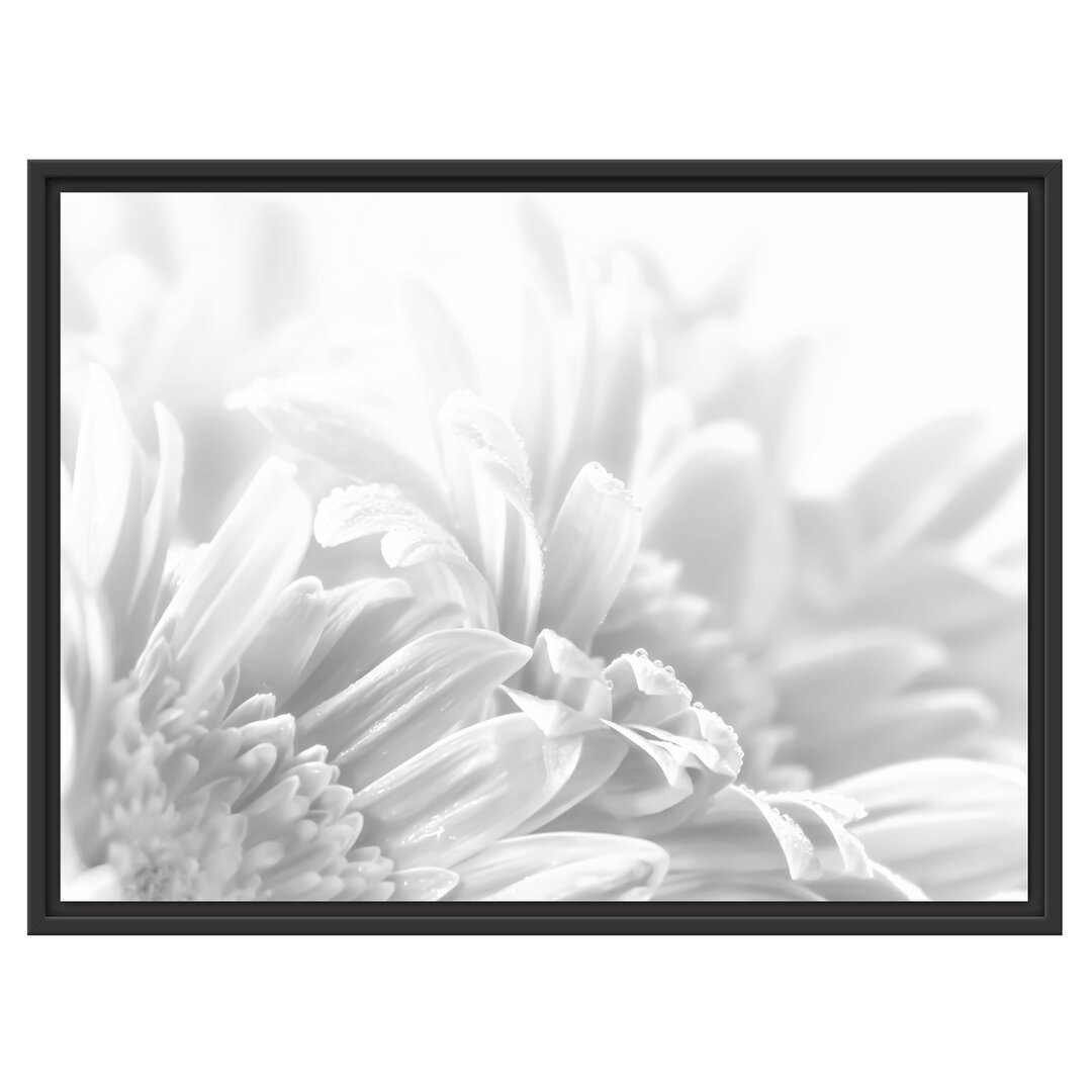 Gerahmtes Wandbild Gerbera-Blume