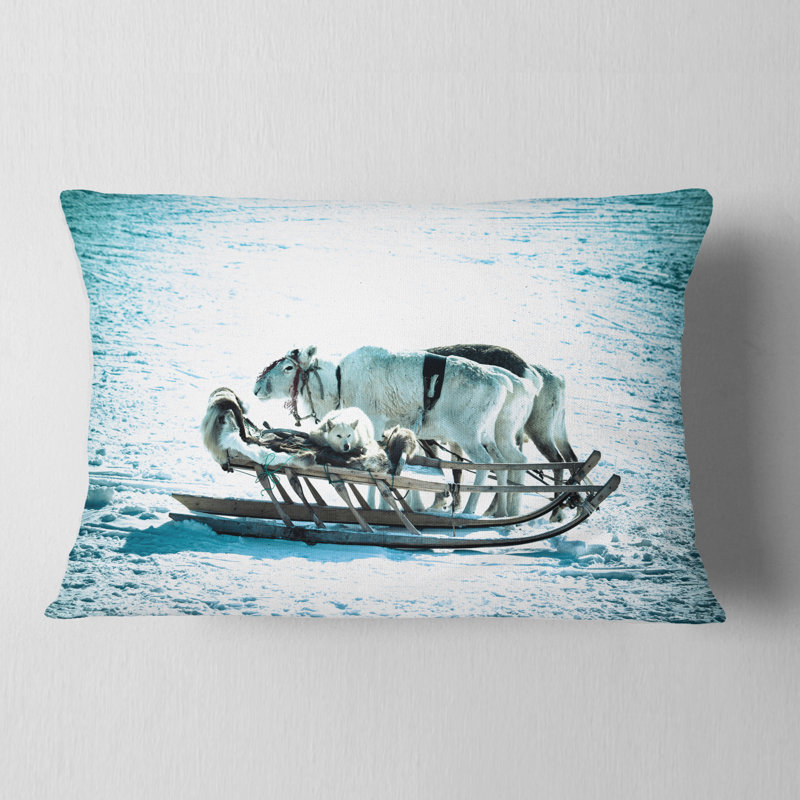 Coussin lombaire pour chiens animaux sur un renne