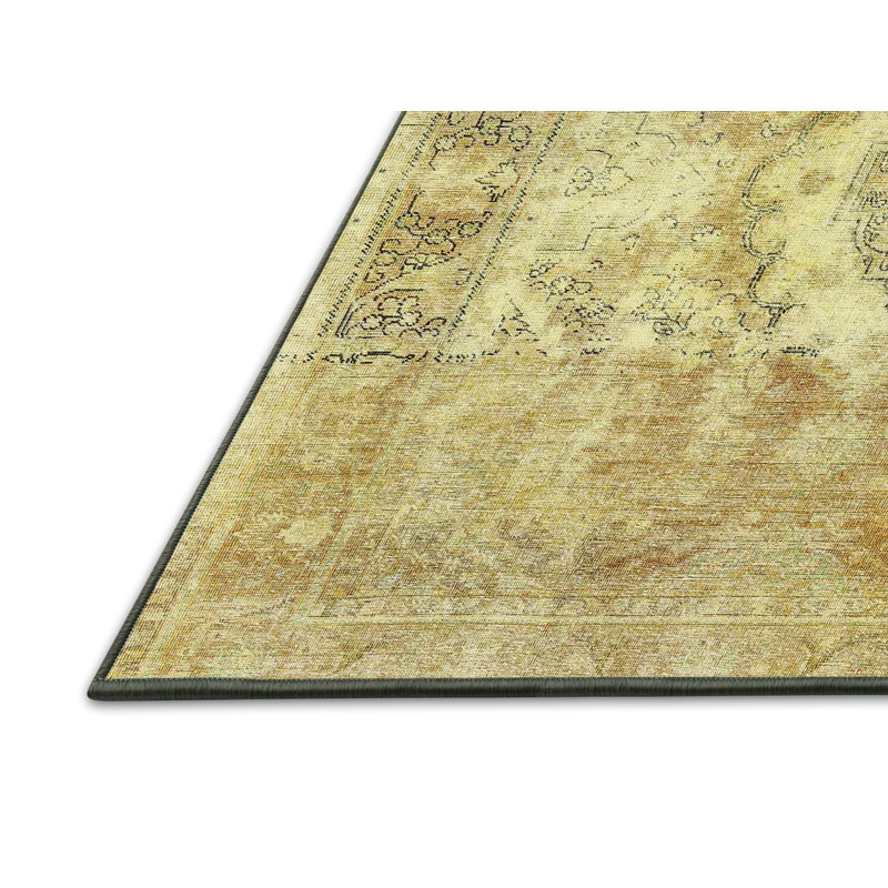 Tapis beige/gris traditionnel Rocklin, Rectangle 2 pi x 4 pi
