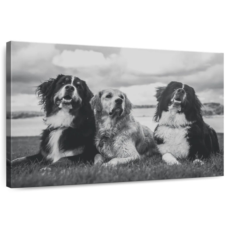 Brampt Bernese Mountain Dogs, 8" H x 12" W
