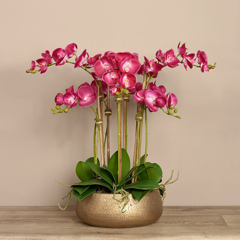 Arrangement floral orchidées dans un pot, Rose, Doré, 24 po x 18 po