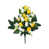 Yellow/White