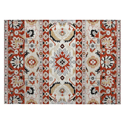 Tapis traditionnel lavable à la machine intérieur / extérieur ACN2583