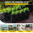 DWC Hydroponic System 5 Gal, 8 Buckets