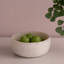 Resin Fruit Bowl-831072723