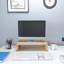 Ladawn Monitor Stand-947293199