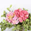 Arrangement d'hortensias en pot-510998316