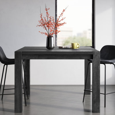 Table de salle à manger Avanel