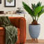 Concrete Effect Round Planter on Hardwood Legs, Round Indoor Plant Pot Stand for Indoor Plants, Indoor Flower Pot with Striped Pattern-11893167-11893165