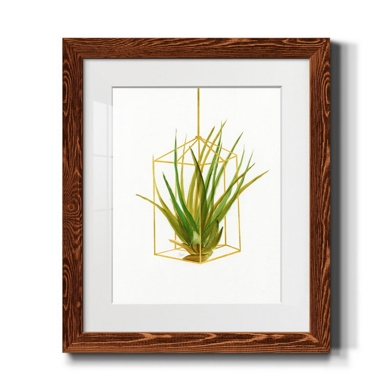 «Hanging Airplant II», reproduction d'art sur papier encadrée, H 20 po x l 17 po x P 0,75 po, Cadre érable