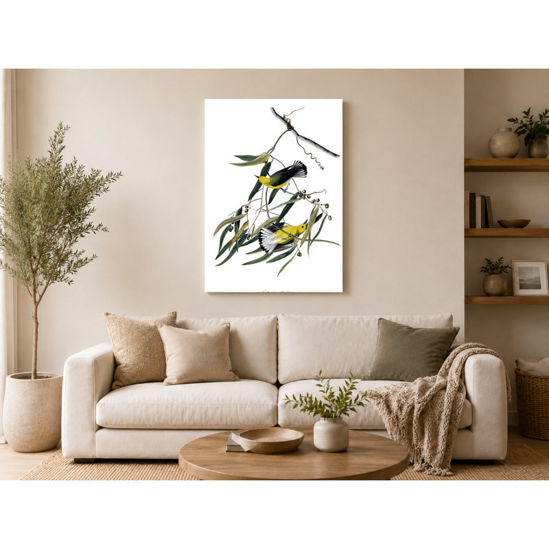 Prothonotary Warbler (Plate 3) - Portrait, art mural sur toile, 14" W x 11" H
