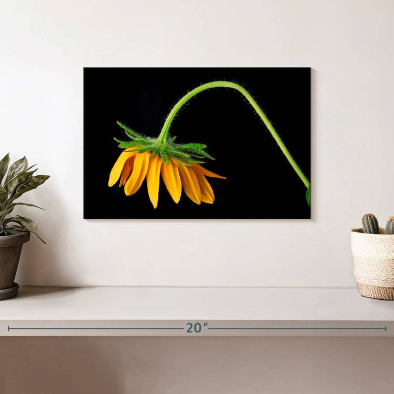Harnek Sunflower Bend, 8" H x 12" W