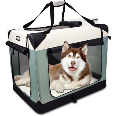 Dog House