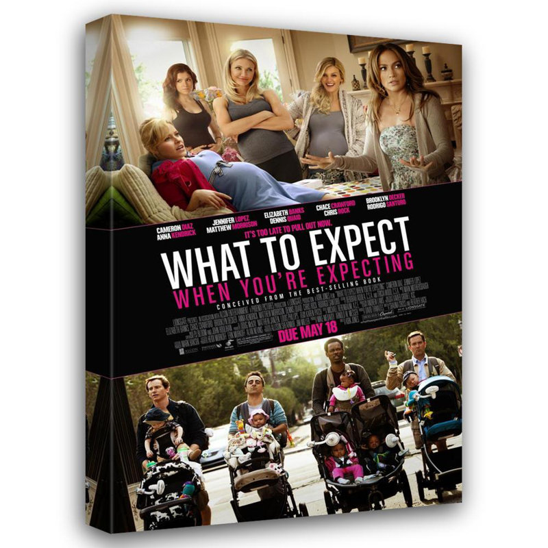 What to Expect When You're Expecting, 24" H x 16" W