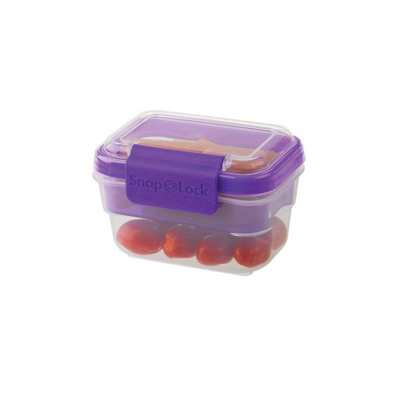 Food Storage Container