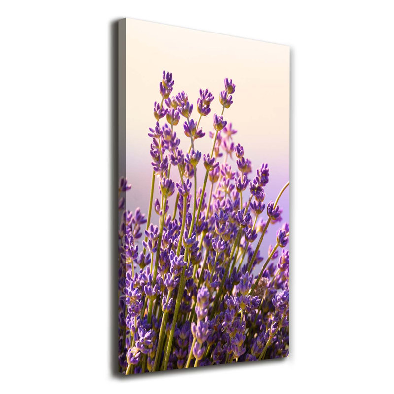 Lavender - Wrapped Canvas Art Prints