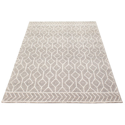 Delinah Performance Hand Braided Wool Rug