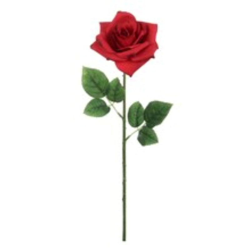 20" Open Rose Stem - 12 Pack