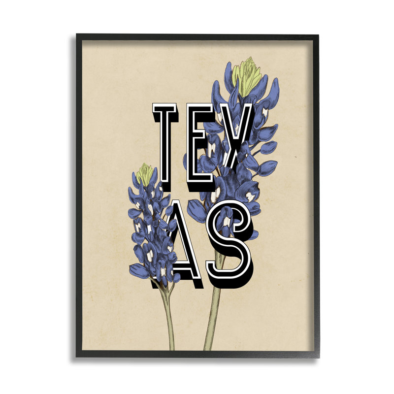 " Texas State Flower Bluebonnet Plant Sprigs " by Daphne Polselli, Midnight Black Framed Giclee, 14" H x 11" W x 1.5" D