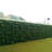 39.37 " H Faux Foliage Hedge