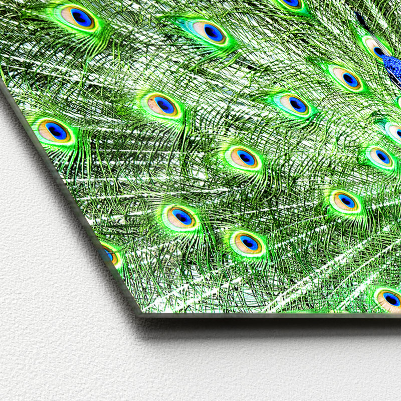 Der Pfau - No Frame Rectangle Painting, 50 cm H x 125 cm W x 1.4cm D