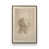 Noyer