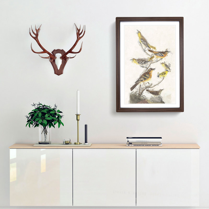 A Collection of Birds by John Audubon - Framed Print, Walnut Framed, 63cm H x 45cm W x 2cm D