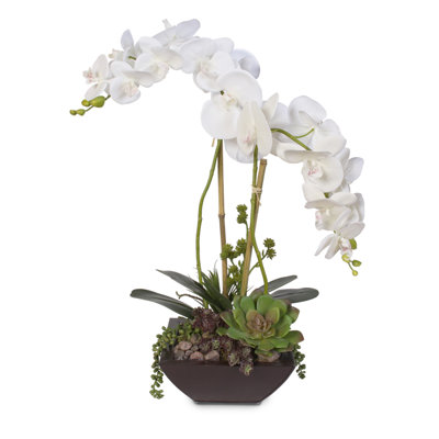 Silk Orchids Arrangement in Planter
