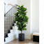 72" Artificial Fiddle Leaf Fig Tree-1525873193
