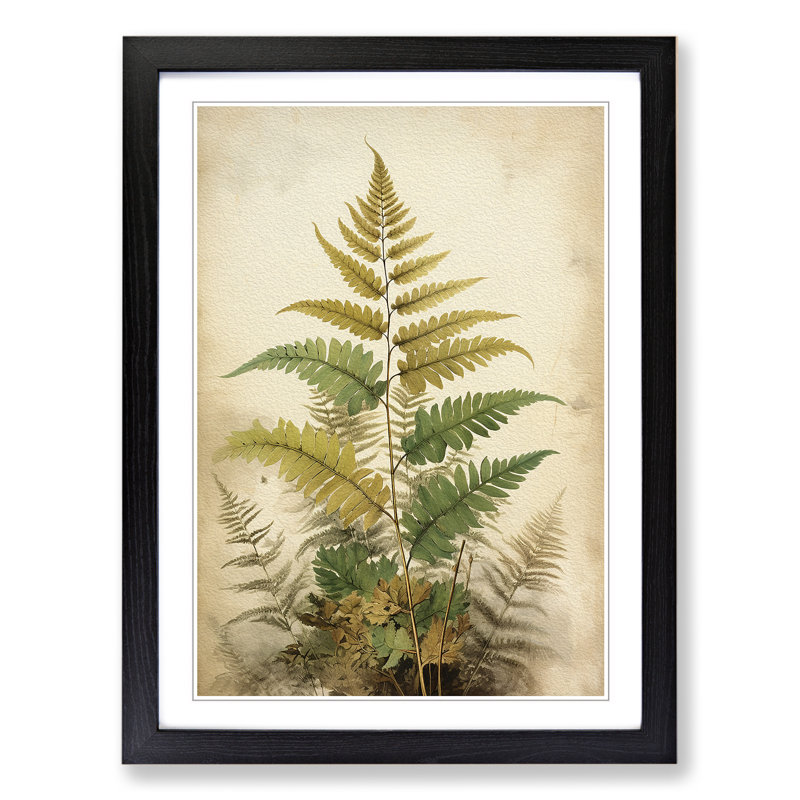 Fern Leaf Victorian - Single Picture Frame Print on Wood, 64cm H x 46cm W x 2cm D, Black