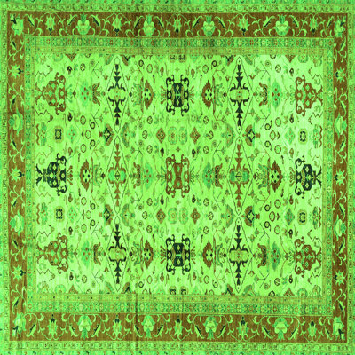Performance Oriental Indoor Rug
