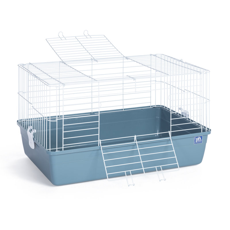 Cage pour petits animaux Niehaus, Bleu glacier, H 15,75 po x l 17,25 po x L 27,25 po