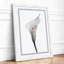 White Calla Bloom Botanical - Framed Print-1785361083-1785361081