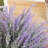 Kassaraba Lavender Arrangement-1198063915