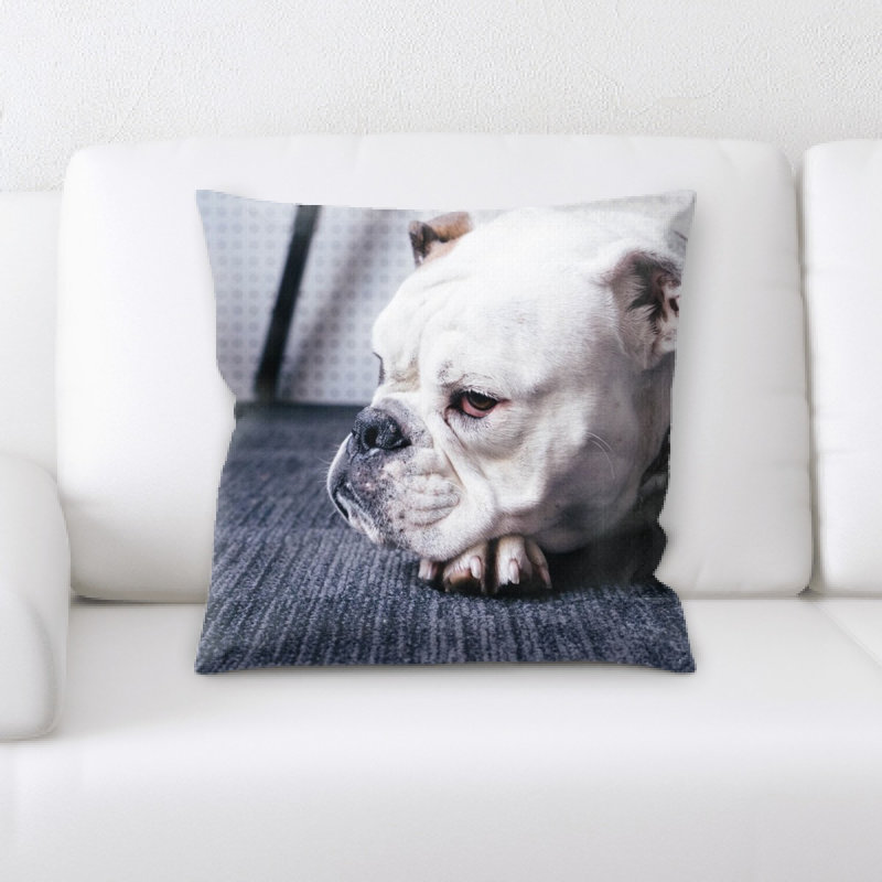 Coussin pour chien