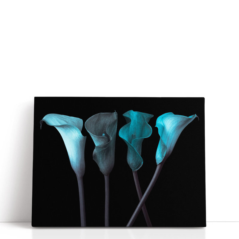 «Four Calla Lilies 1», reproduction d'art sur toile, H 18 po x l 24 po