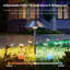 Matte Black Plug-in Integrated LED Pathway Light